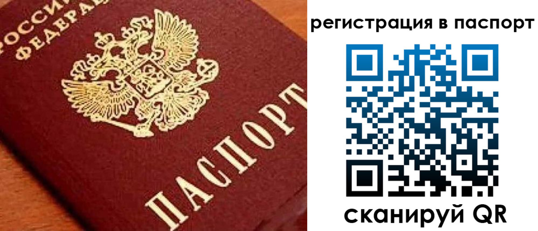 прописка законно в Королёве